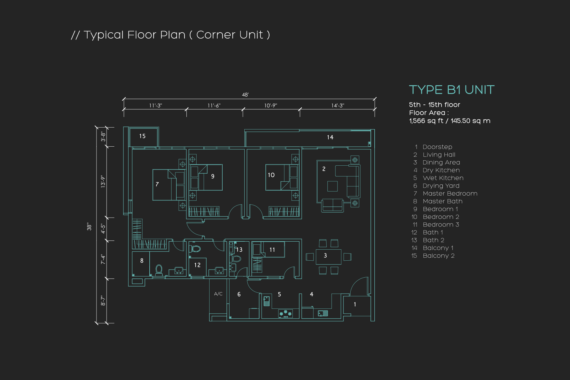 Type B1